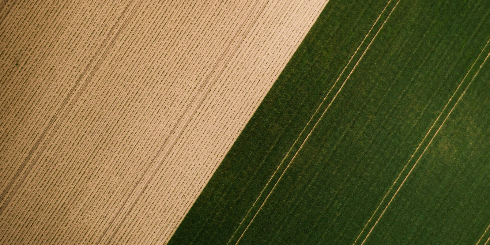 À Quoi Sert le PEC Univ?