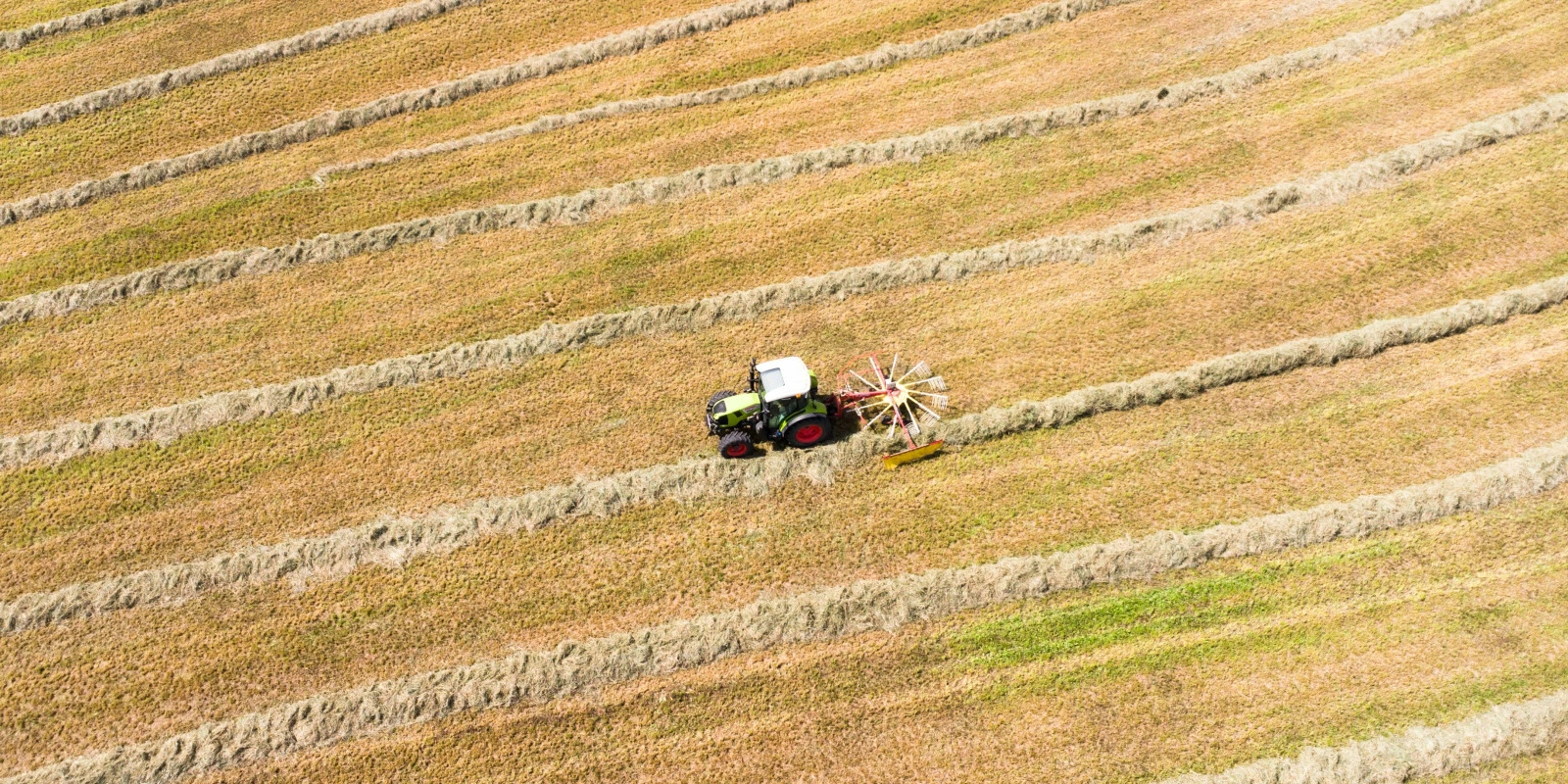 BUT Packaging: Débouchés et Opportunités