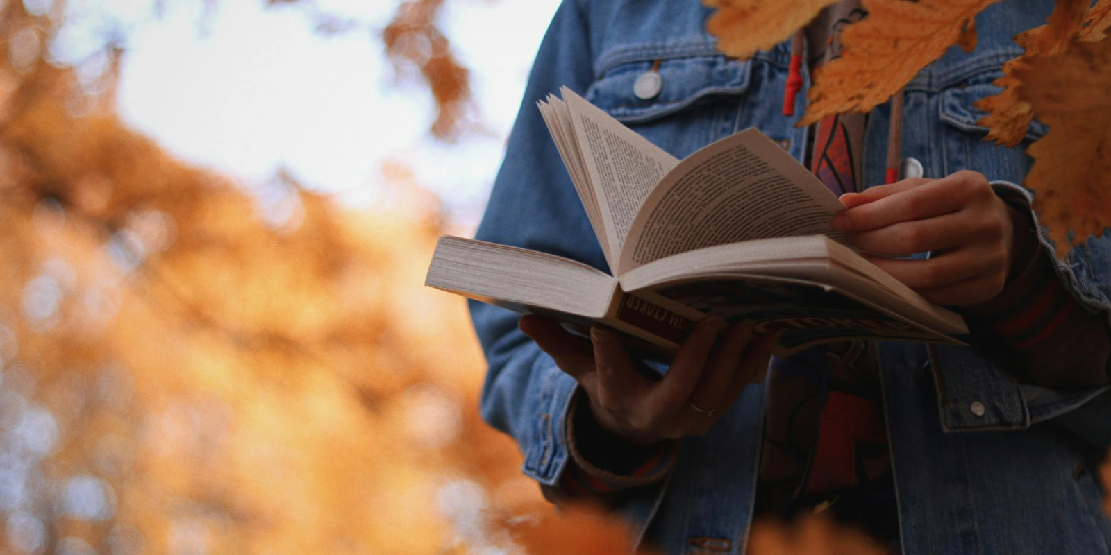 BUT PEC à Avignon: Témoignages de Diplômés