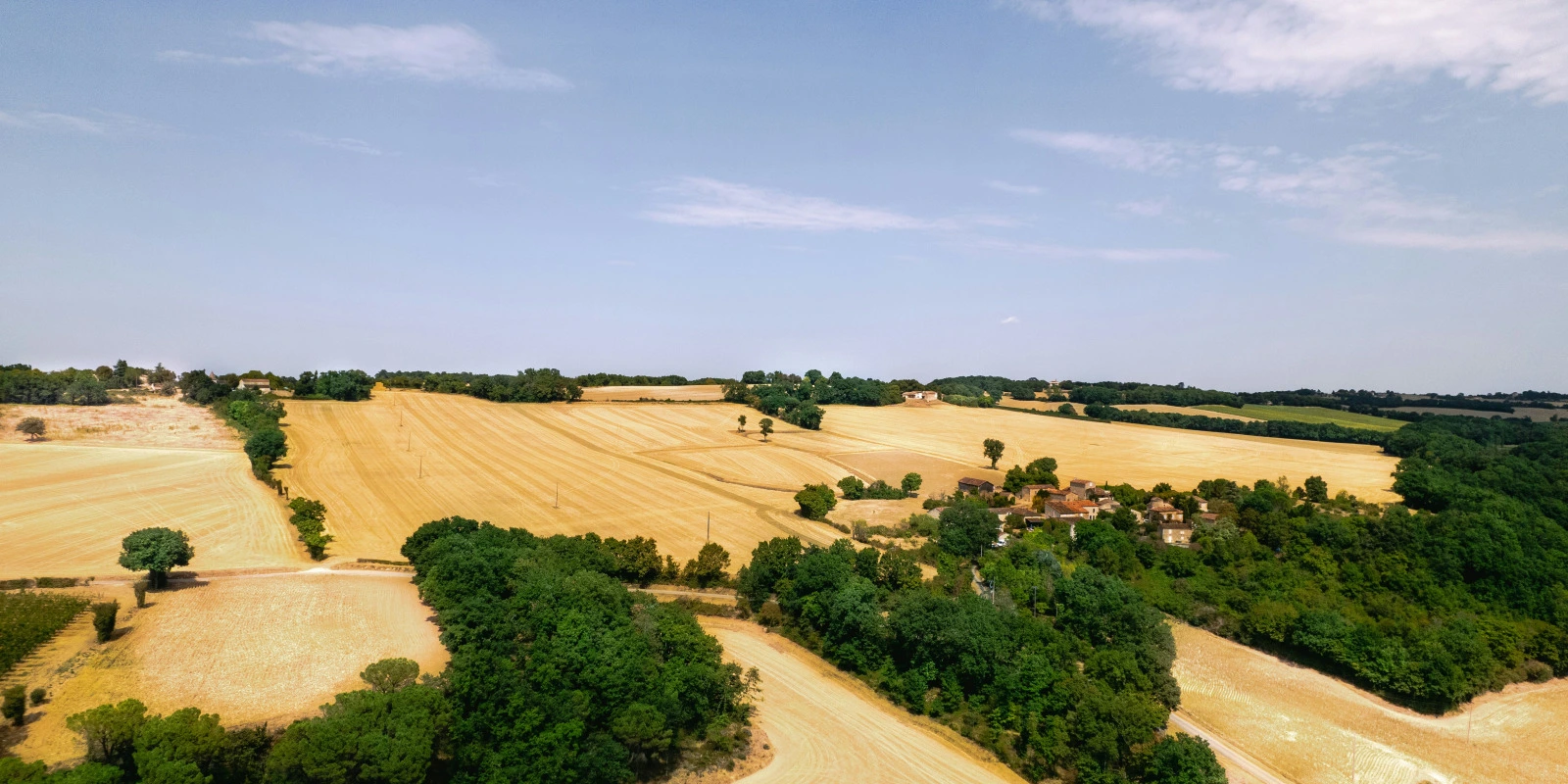 BUT PEC: Témoignages de Professionnels