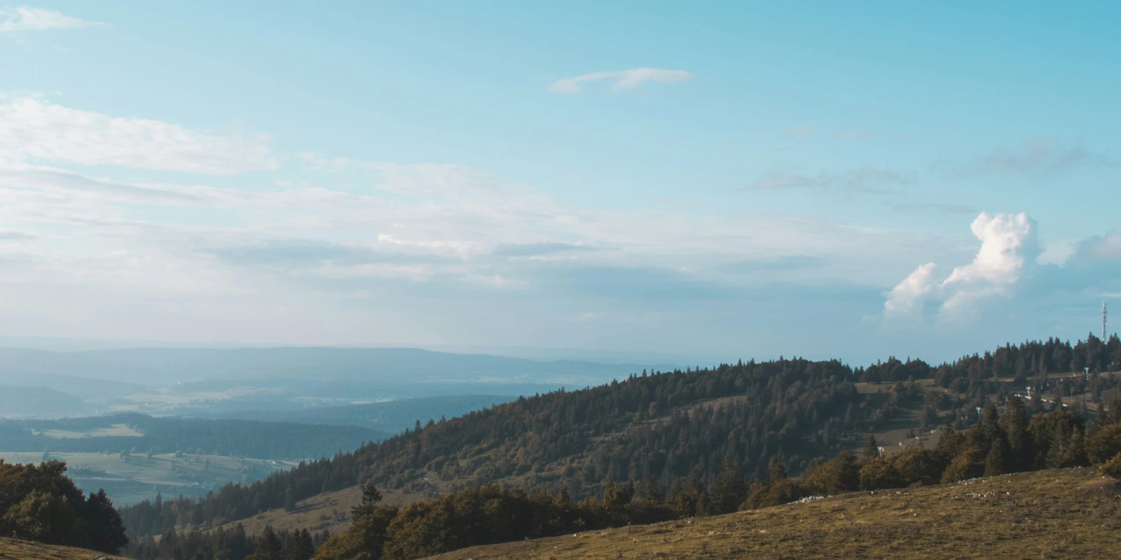 Les Programmes de Formation Packaging en Détail