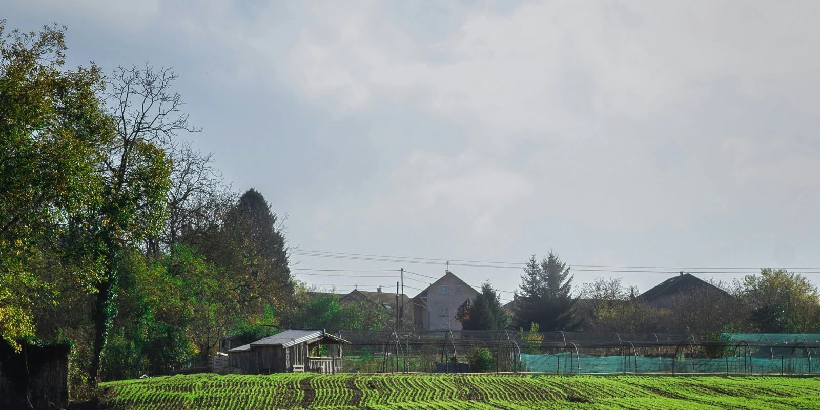 Sciences de l'Éducation et Formation: Perspectives